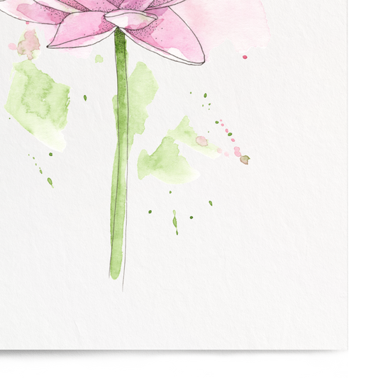 Pink flower illustration on a white background