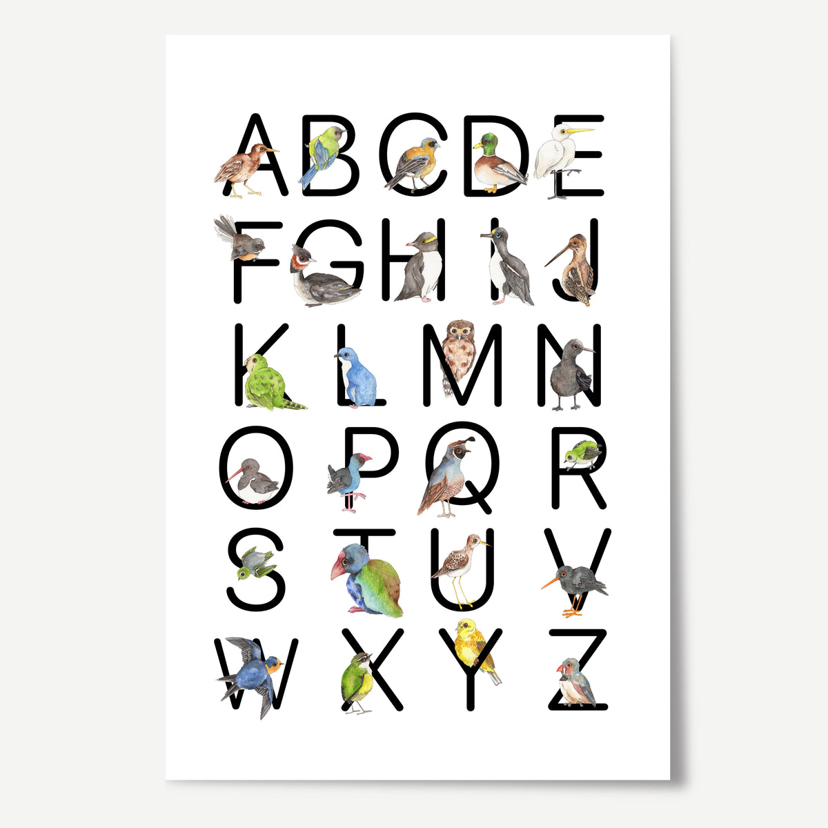 New Zealand Birds ABC Print