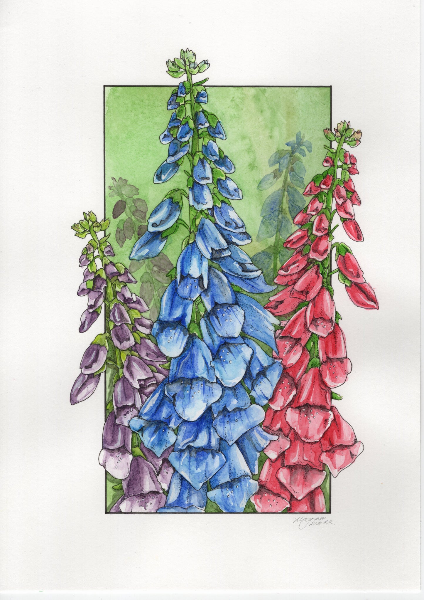 Foxgloves Original