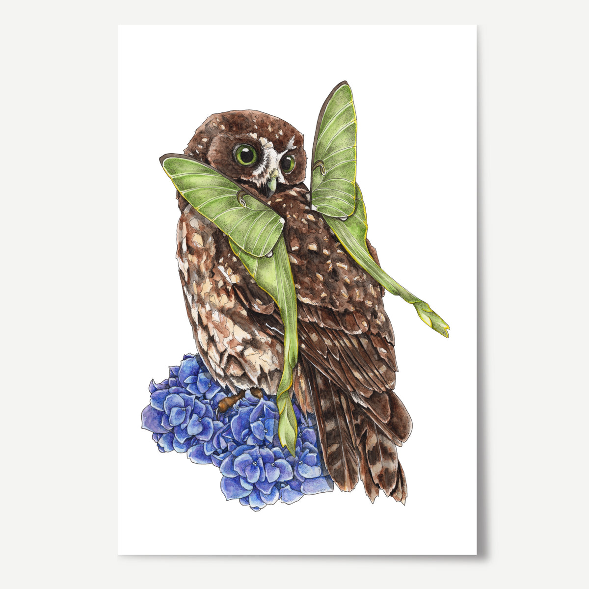 Ruru on Hydrangea Print