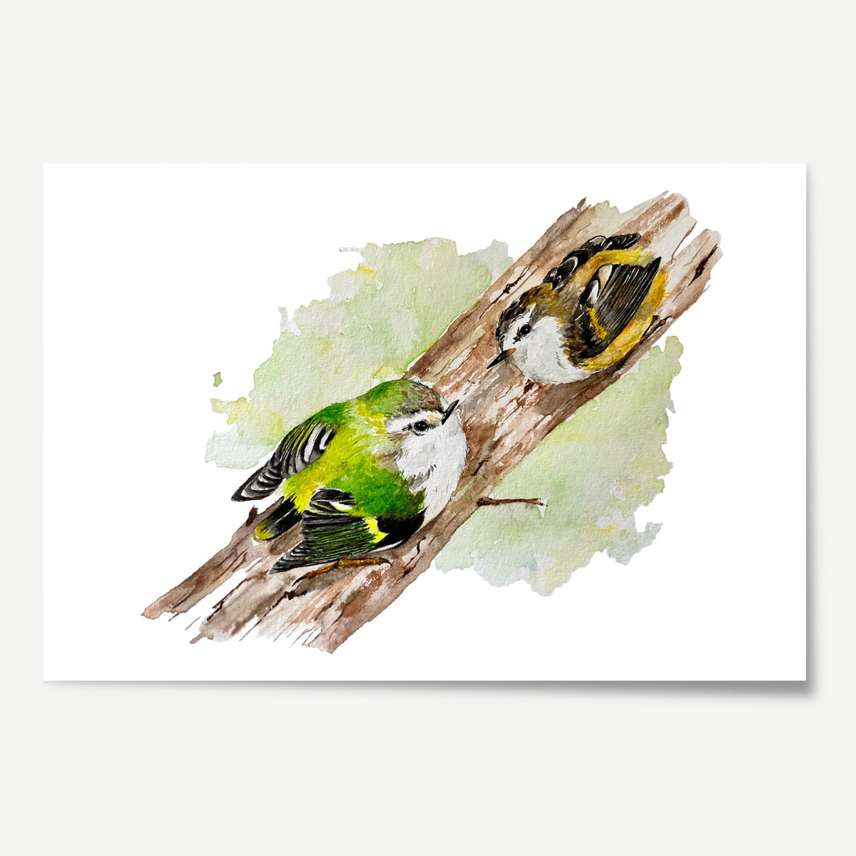 Rifleman Courting Limited Edition Print