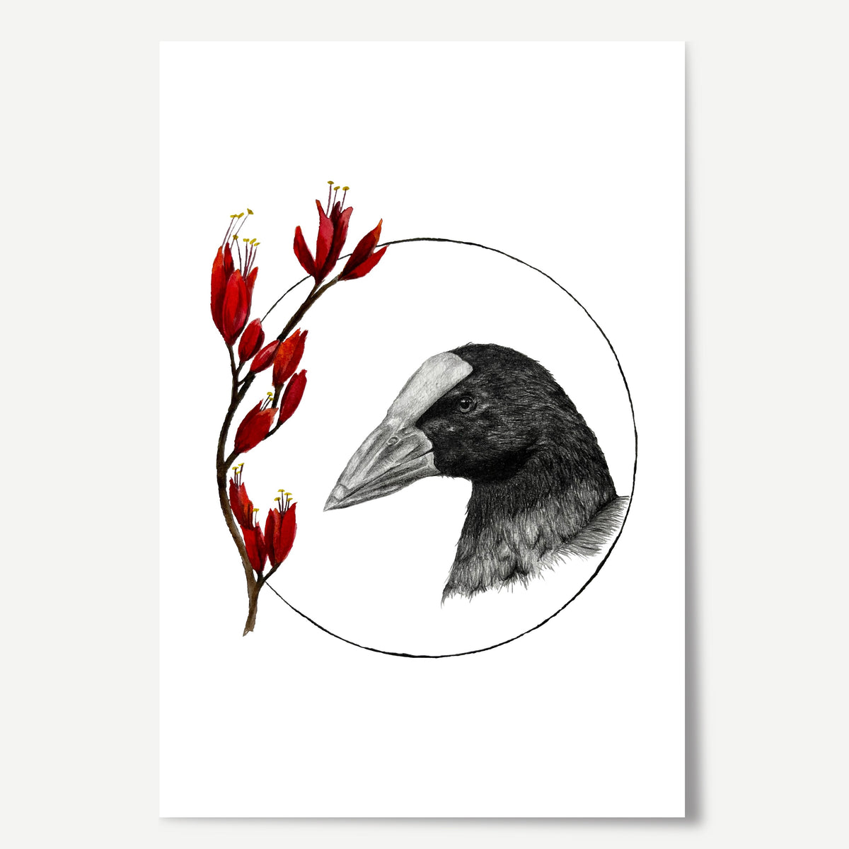 Pūkeko Limited Edition Print