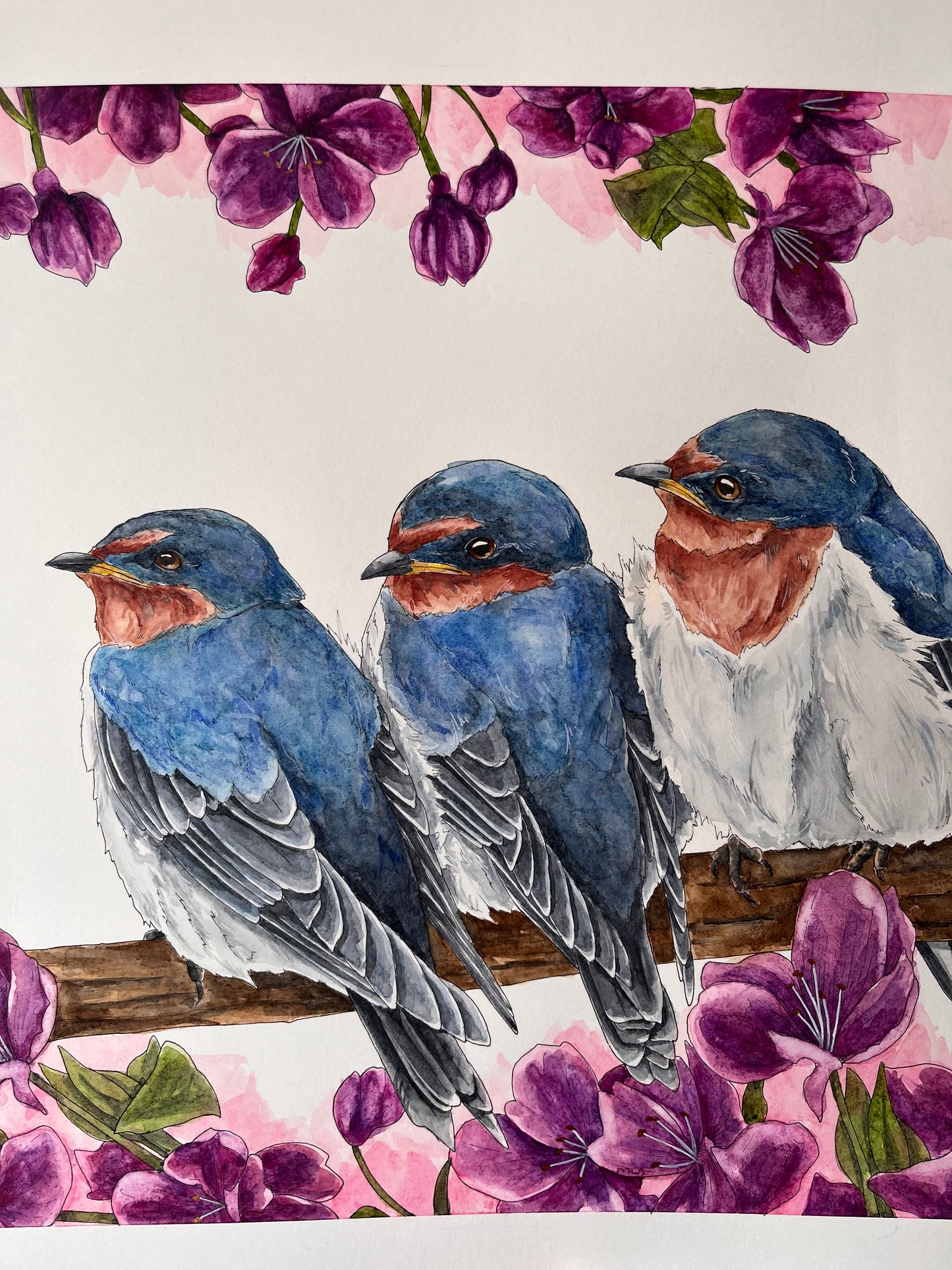 ONO Price - Ballad of the Swallows Original