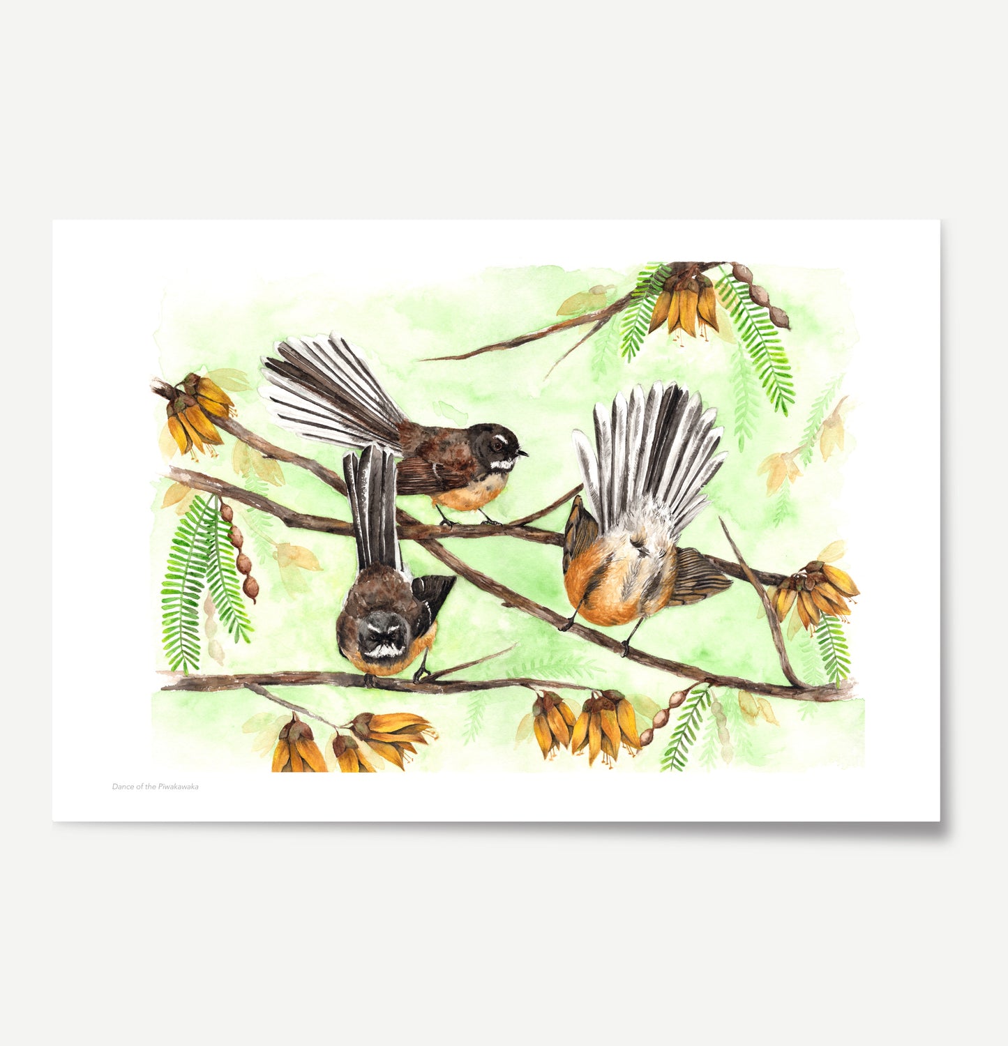 Dance of the Pīwakawaka Print
