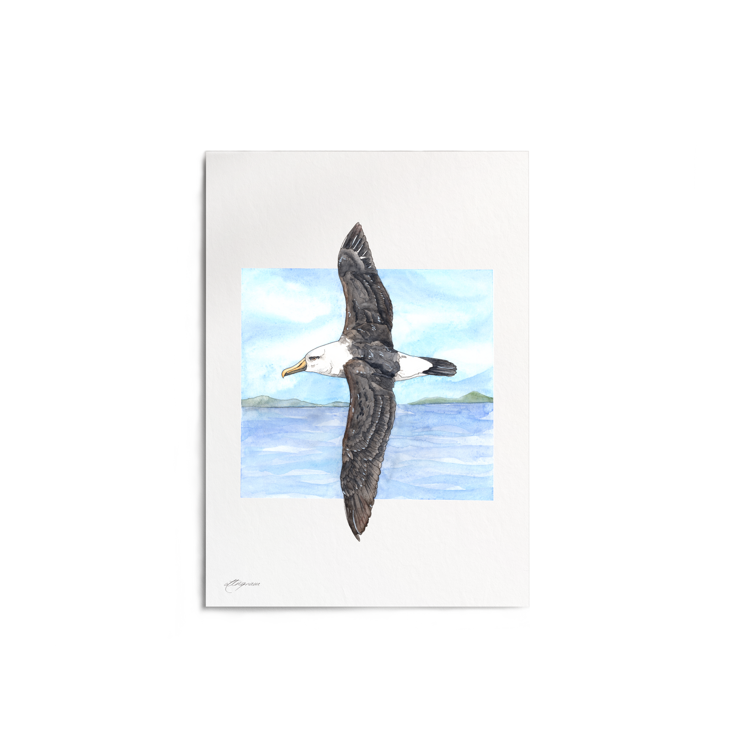 "Albatross" Print