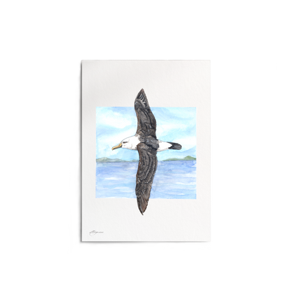"Albatross" Print