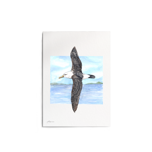 "Albatross" Print