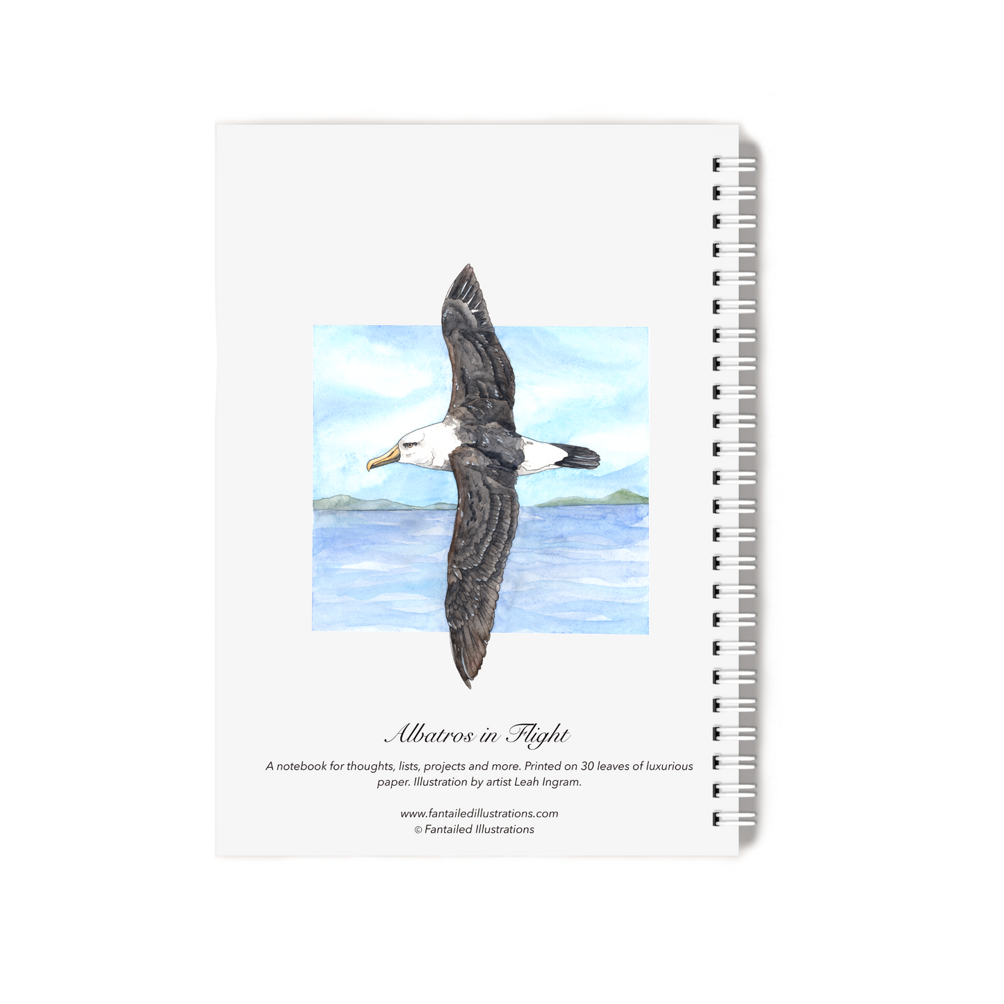 "Albatross in Flight" Notebook