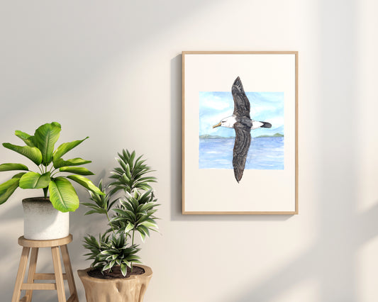 Albatross Print