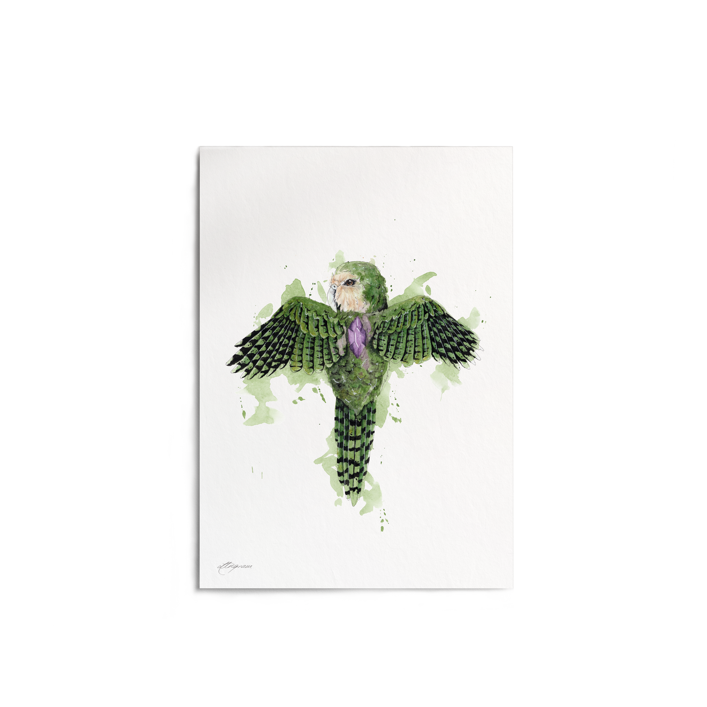 "Kakapo Amythest" Print