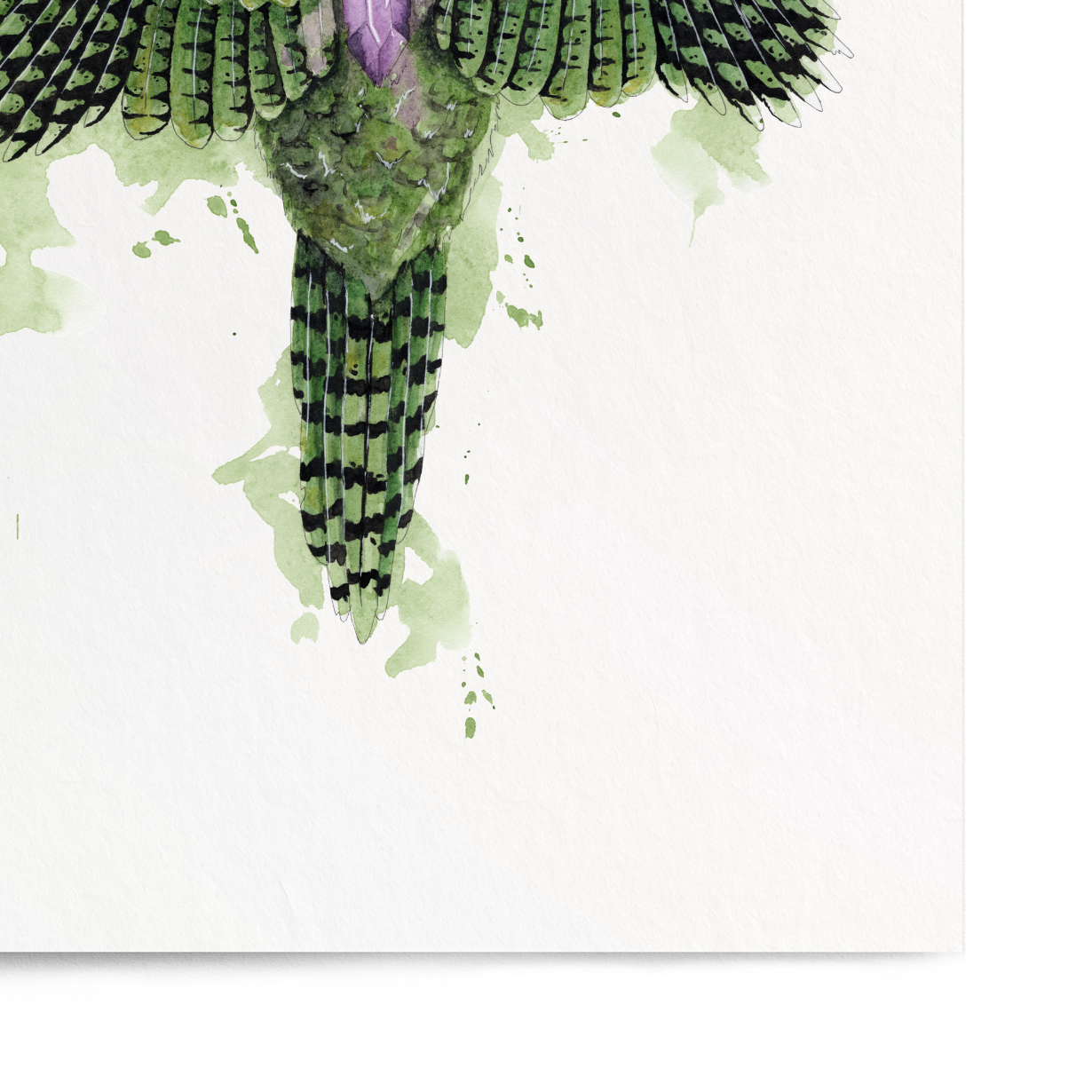 Art print of a green and black bird with a white background