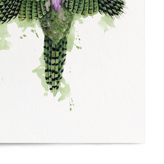 Art print of a green and black bird with a white background
