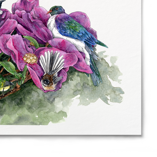 Art print of pink flowers and hummingbirds on a white background