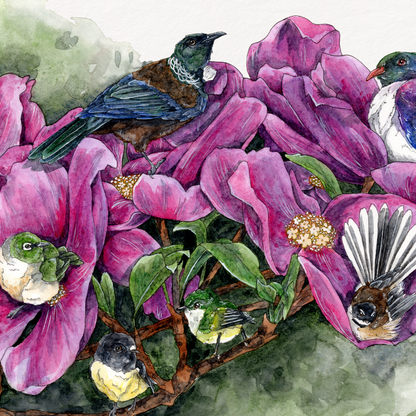 Art print of pink flowers and hummingbirds on a white background