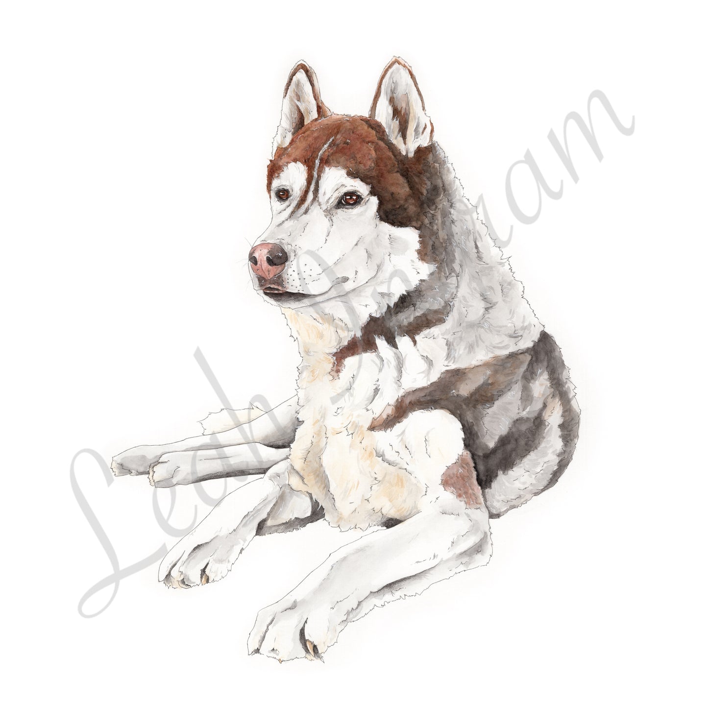 Pet Portrait - Request a quote
