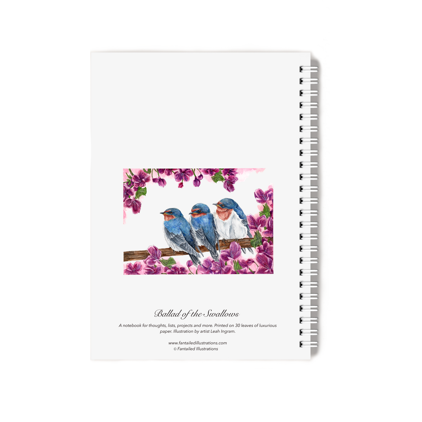 "Ballad of the Swallows" Notebook