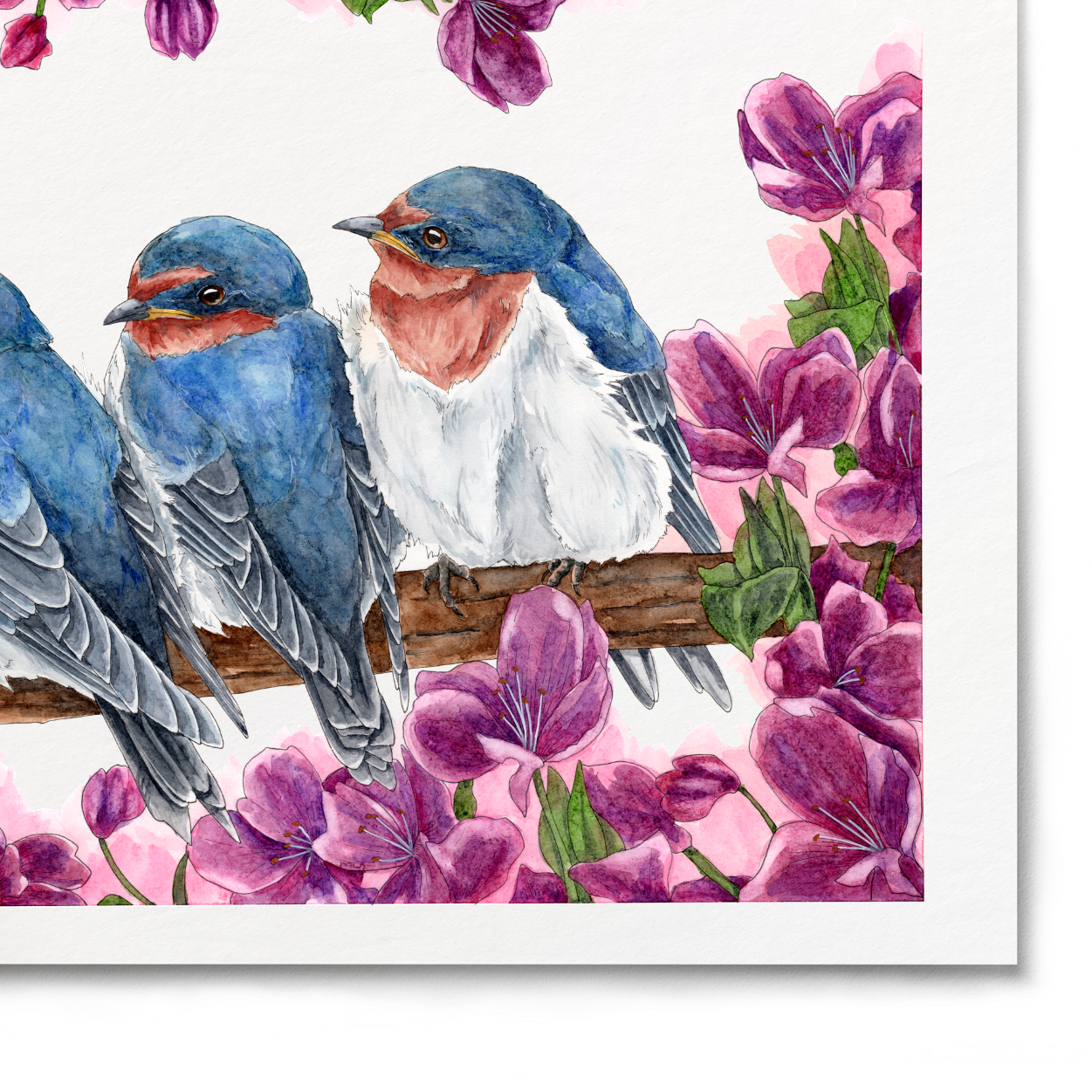 Three blue birds perched on a branch with pink flowers on a white background