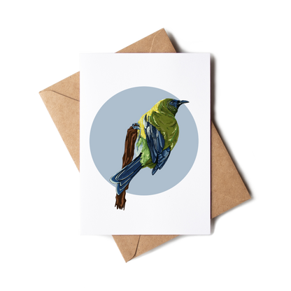 "Korimako in Blue" Greeting Card