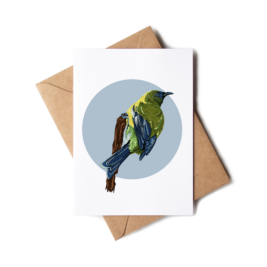 "Korimako in Blue" Greeting Card
