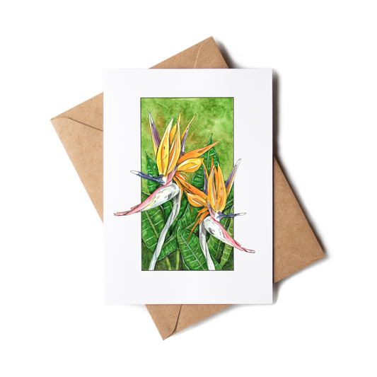 "Bird of Paradise" Greeting Card