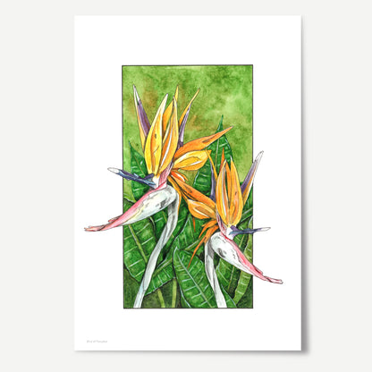 Bird of Paradise Print