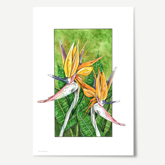 Bird of Paradise Print
