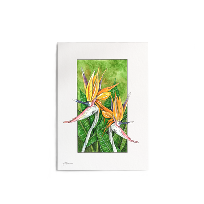 "Bird of Paradise" Print