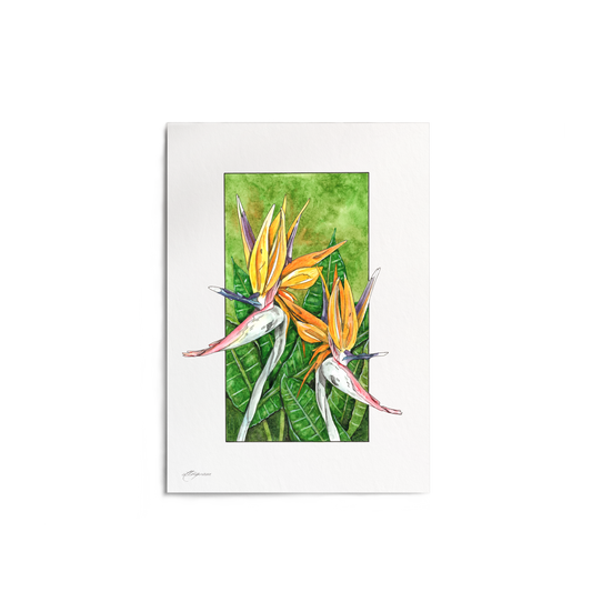 "Bird of Paradise" Print
