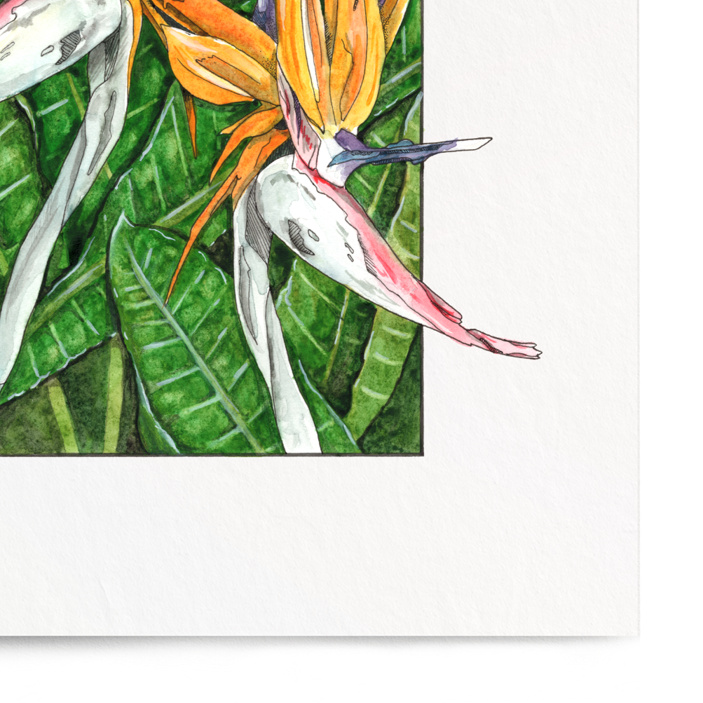 Framed artwork of tropical flowers on a white background