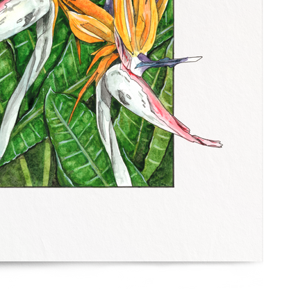 Framed artwork of tropical flowers on a white background