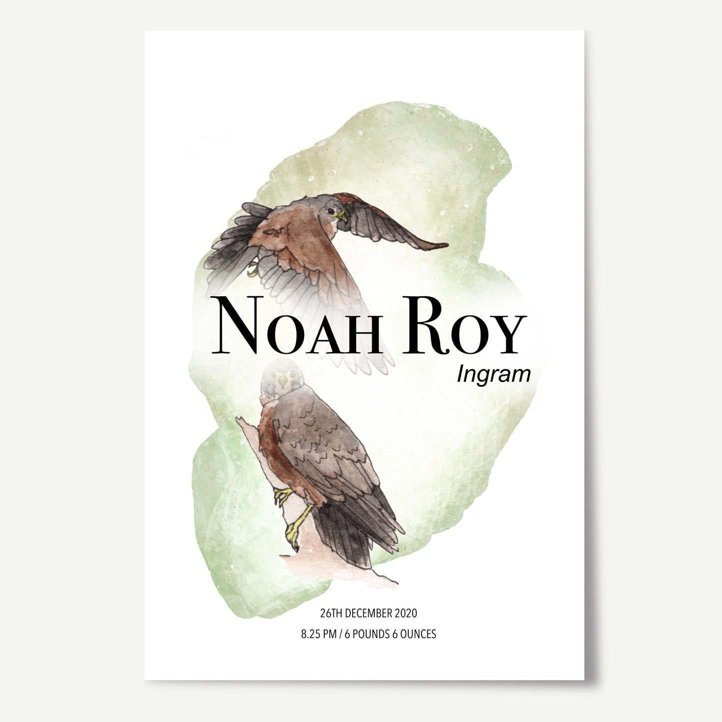 Kārearea Birth Details Print