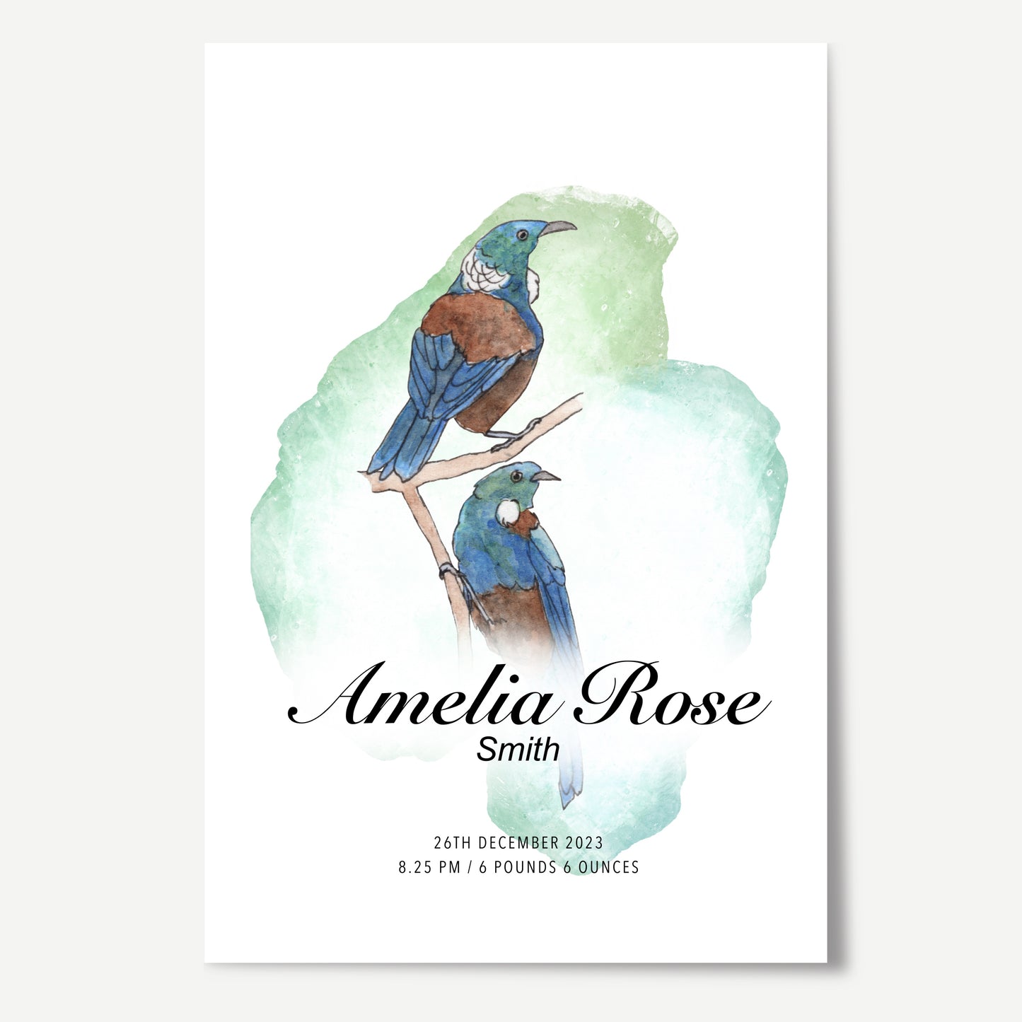 Tūi Birth Details Print