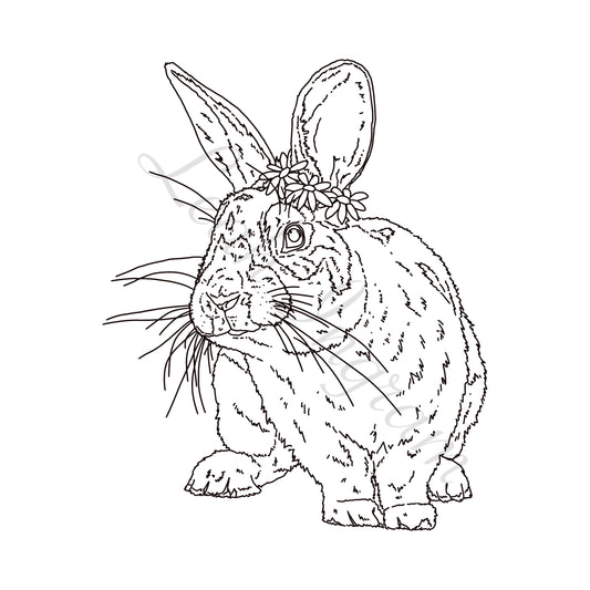 Daisy Rabbit Colour Page