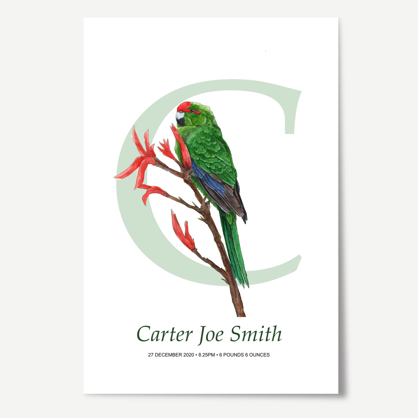 C Letter Custom Print