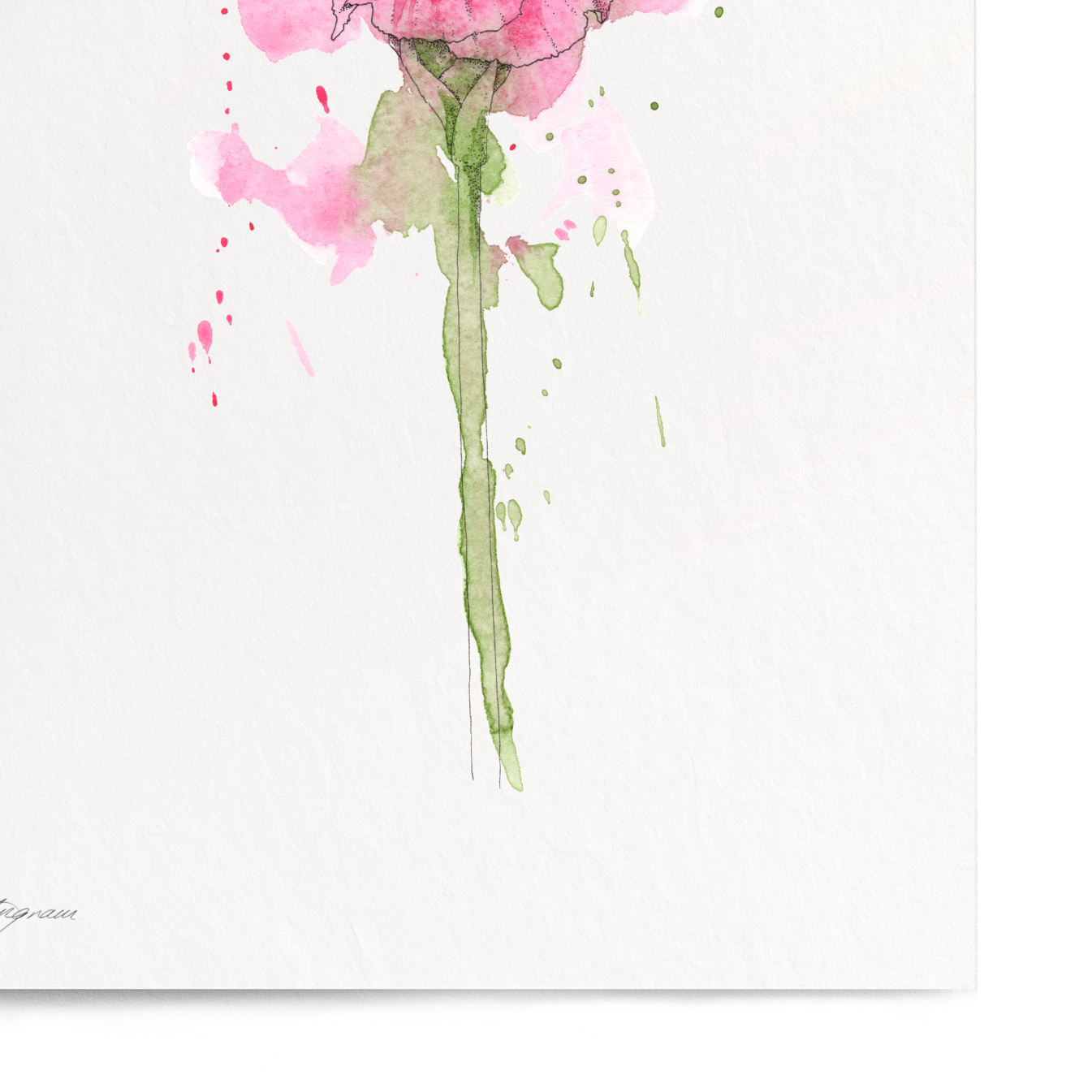 Art print of a pink flower on a white background