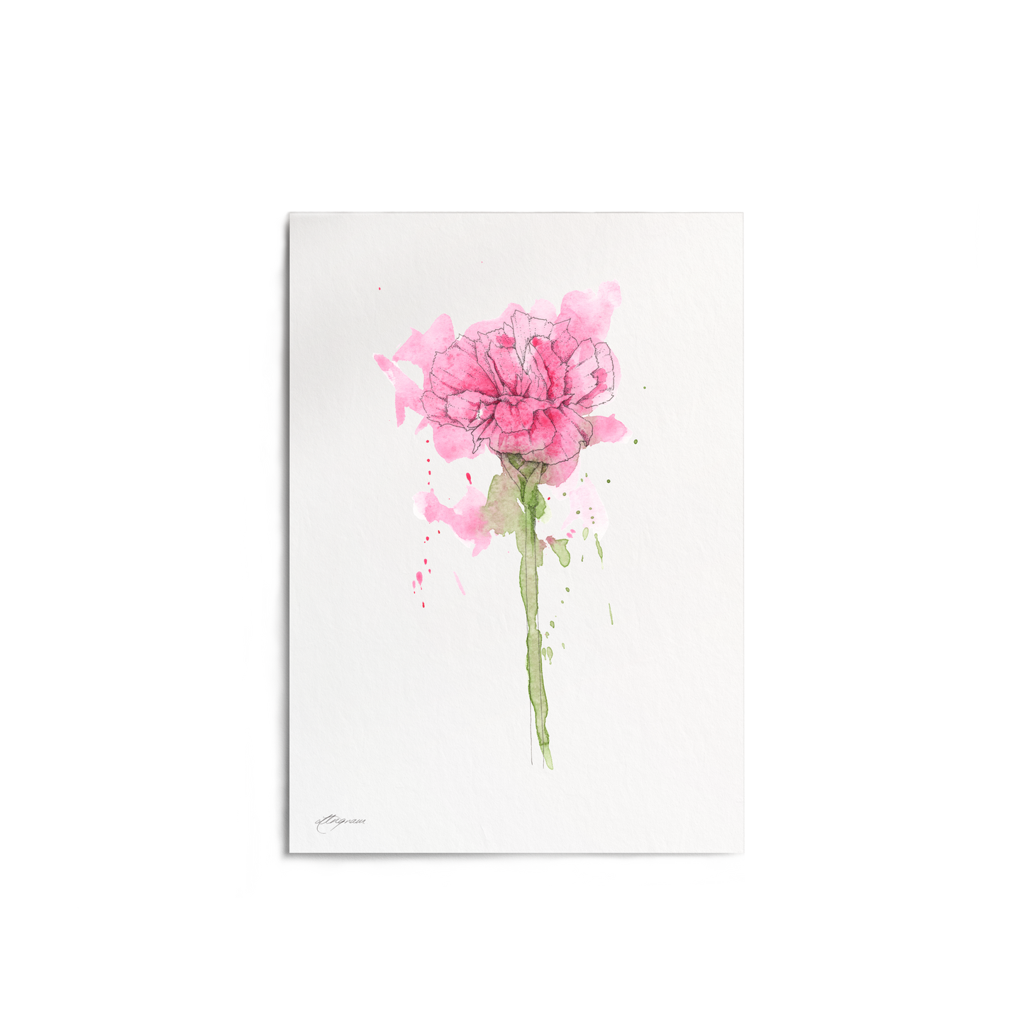 "Carnation" Print