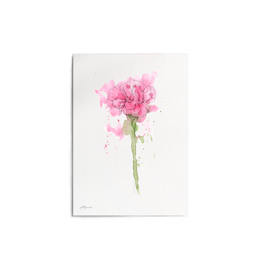 "Carnation" Print