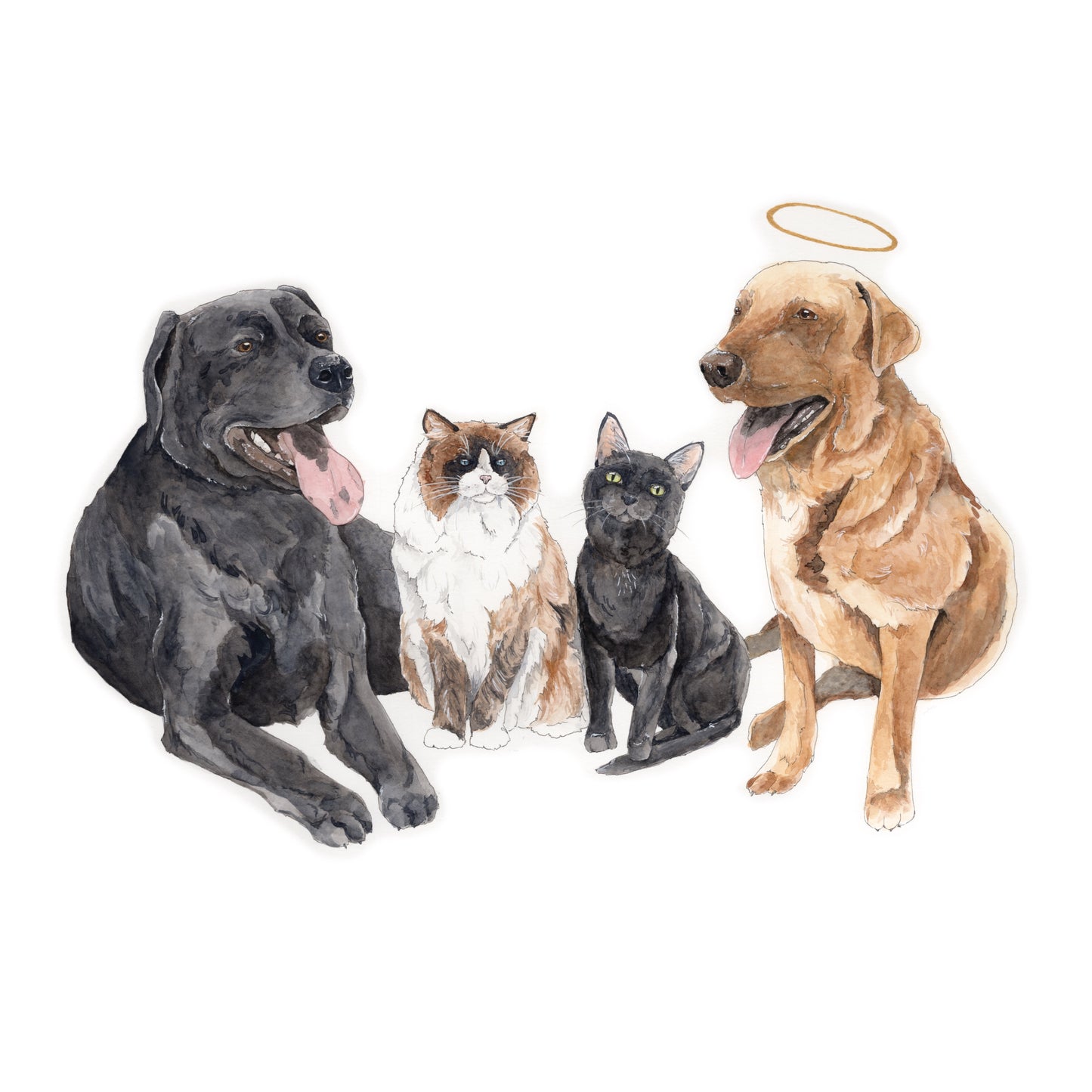 Pet Portrait - Request a quote