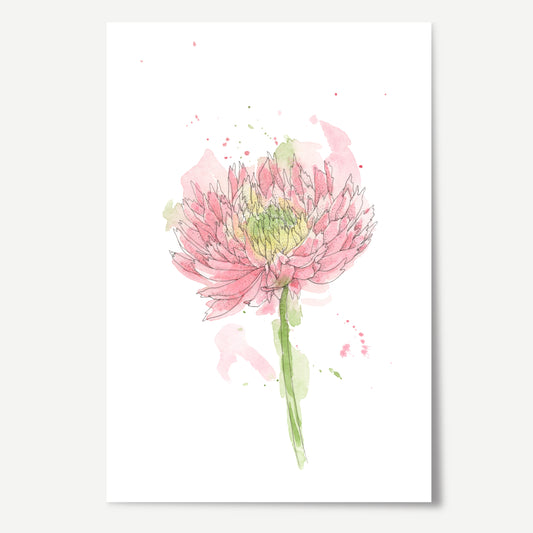 Chrysanthemum Print