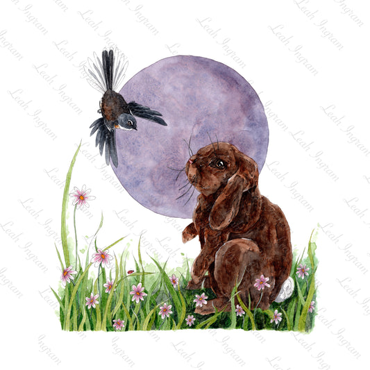 ONO Price - Curiosity Original