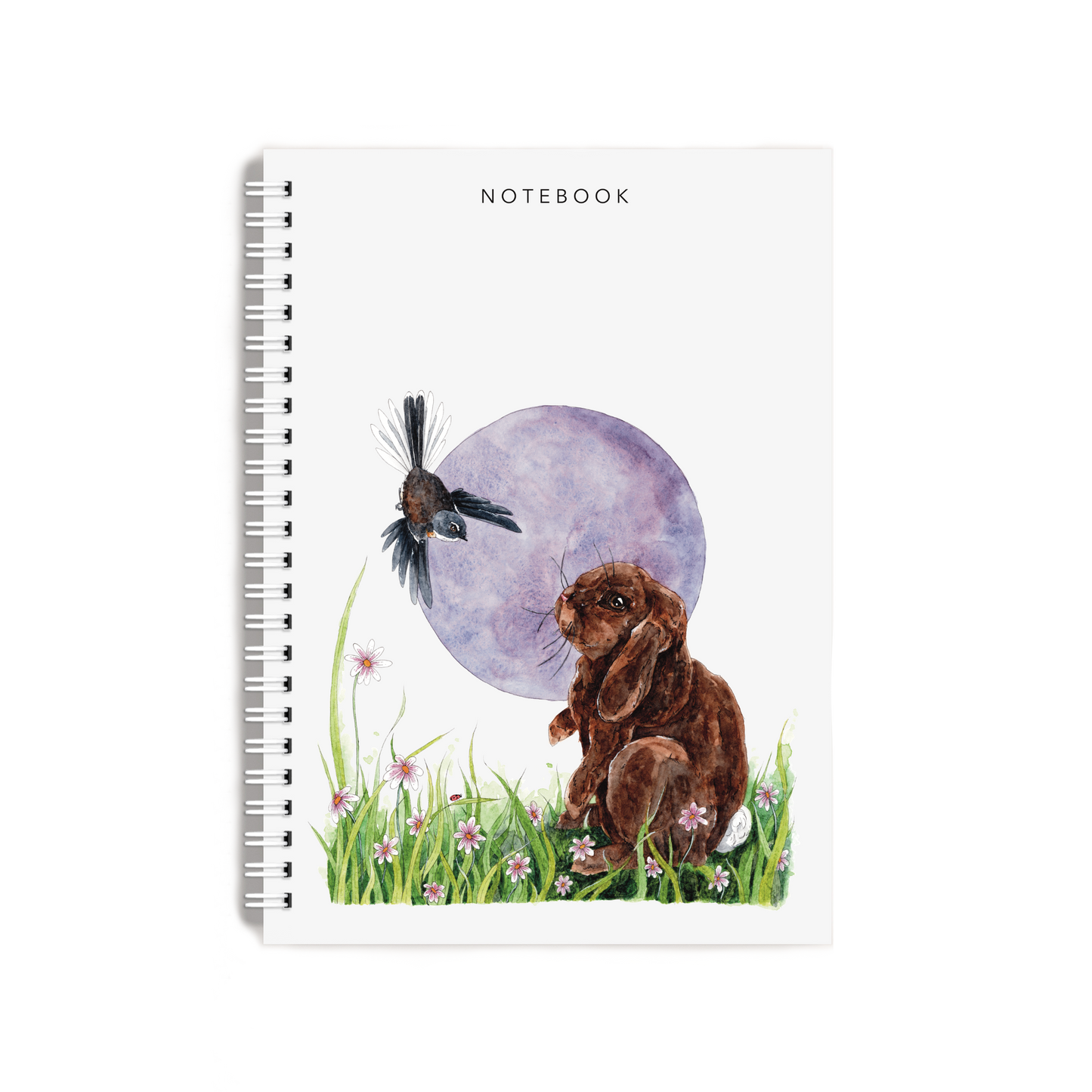 "Curiosity" Notebook