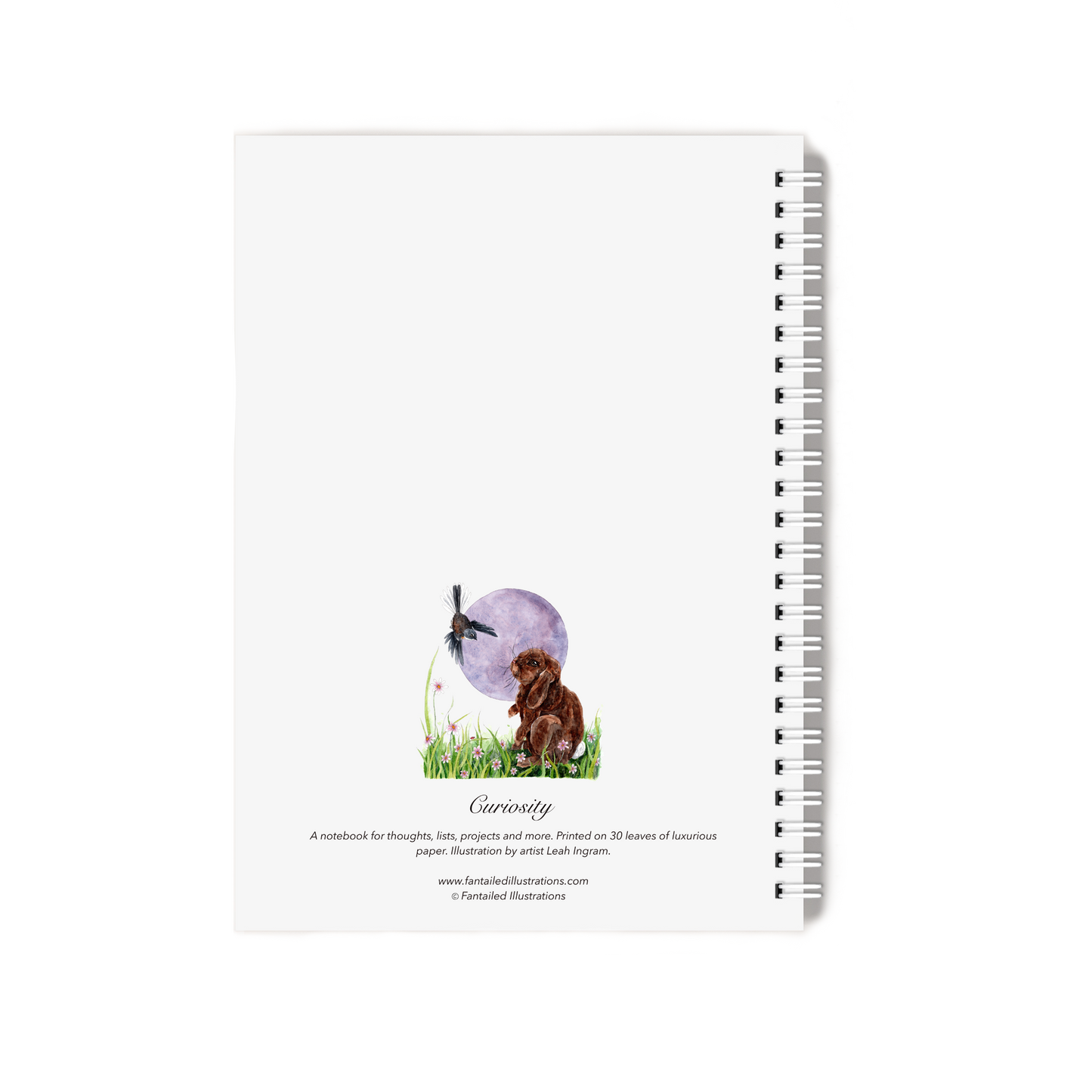 "Curiosity" Notebook