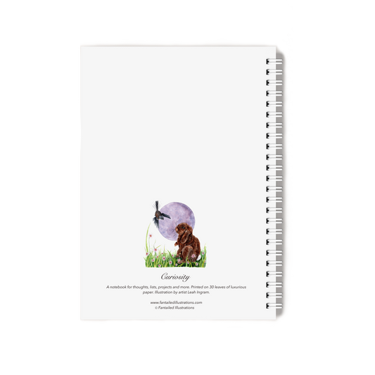 "Curiosity" Notebook
