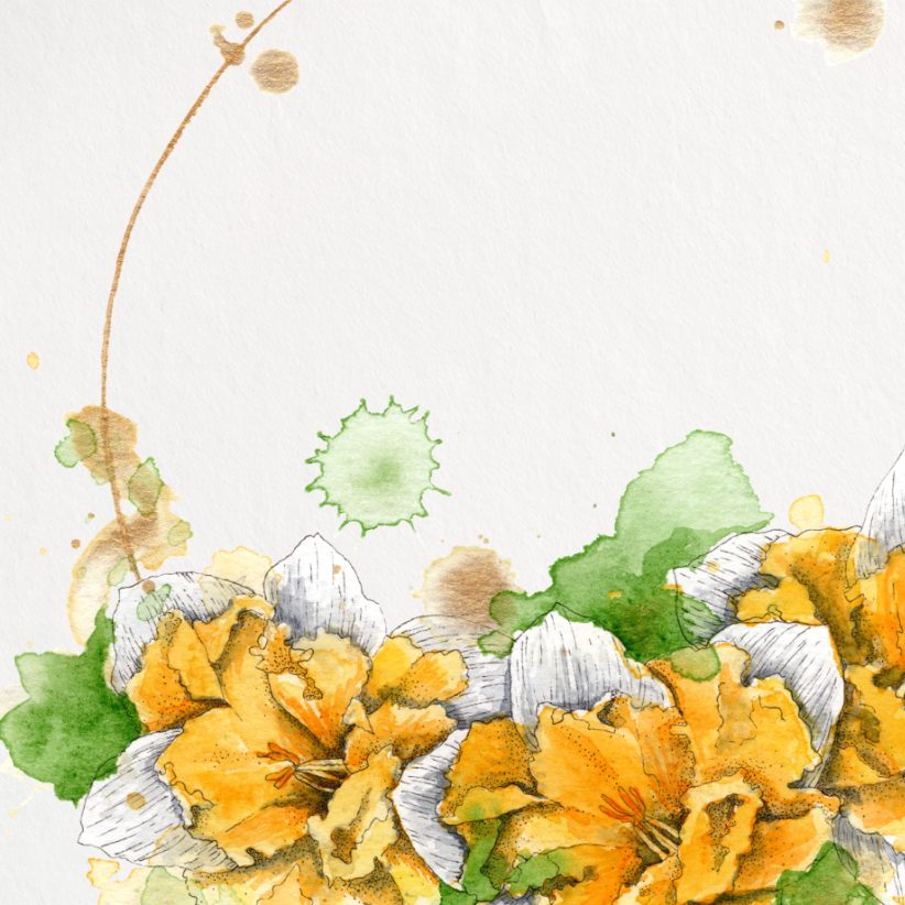 Floral design with yellow flowers and green leaves on a white background