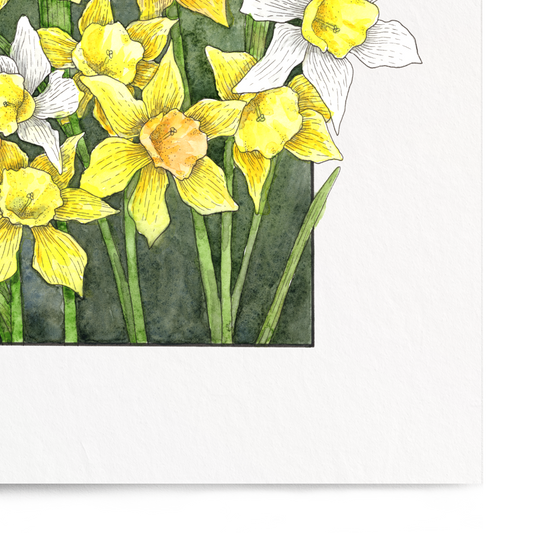 Framed artwork of yellow and white flowers on a white background