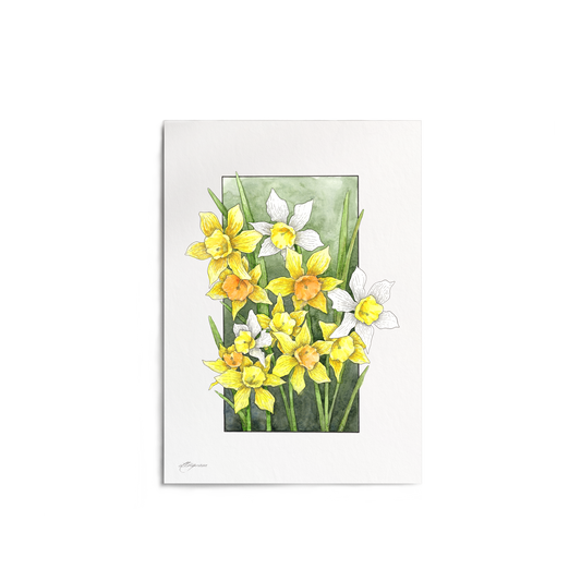 "Daffodil" Print