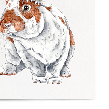 Illustration of a rabbit on a white background
