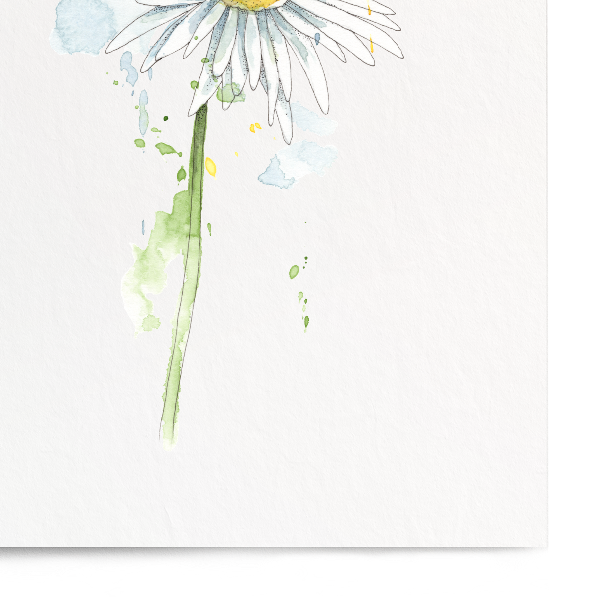 Framed artwork of a daisy on a white background