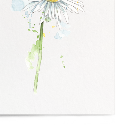 Framed artwork of a daisy on a white background