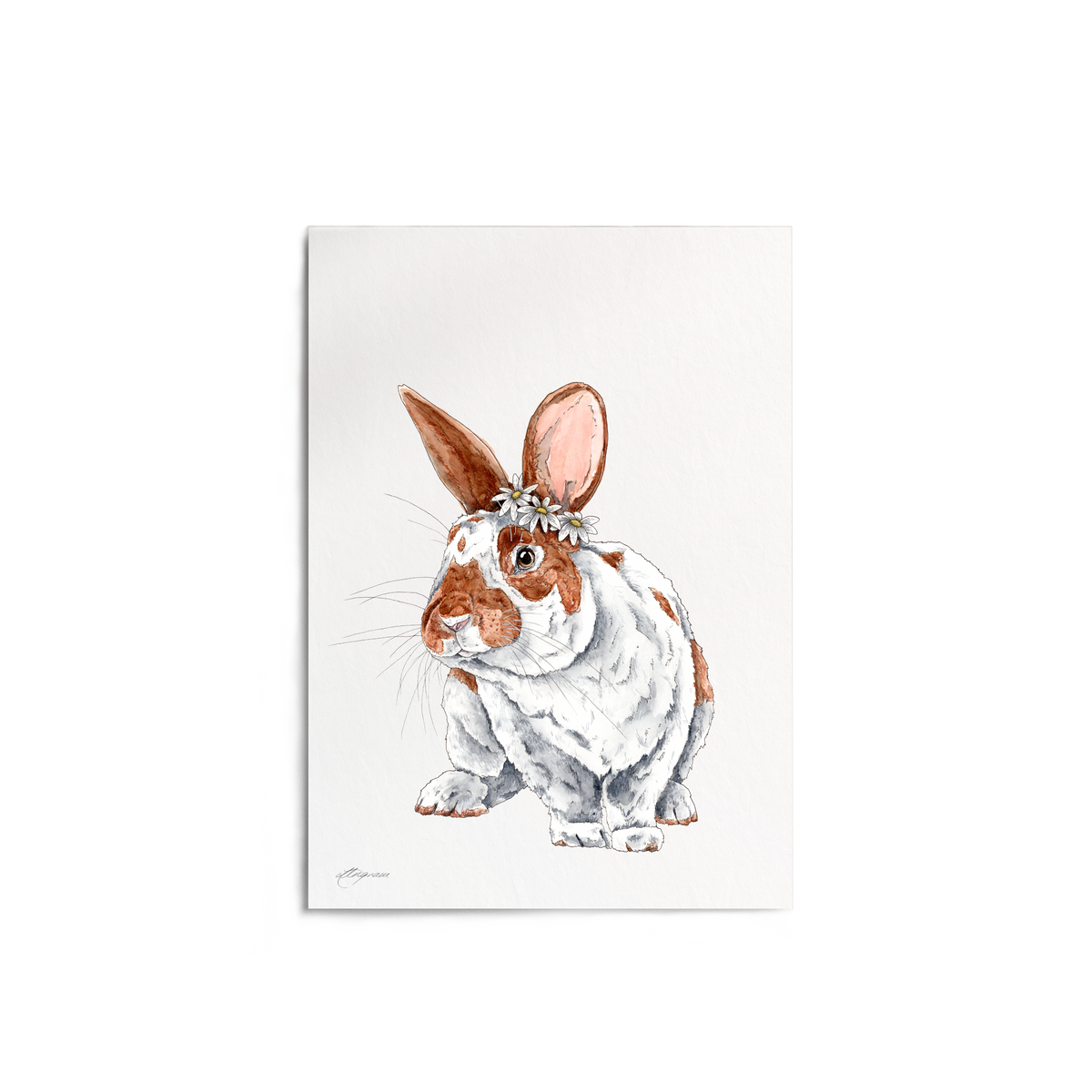 Screenprint Daisy